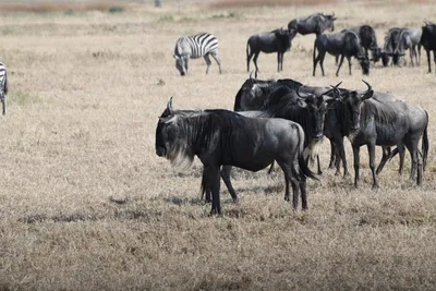 DSC_3399 (Large).JPG